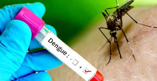 नेपालमा डेंगु संक्रमितको संख्या ८ हजार नाघ्यो