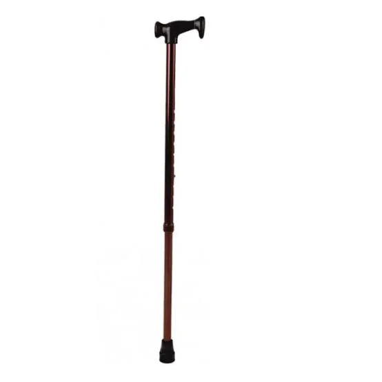WALKING STICK PC